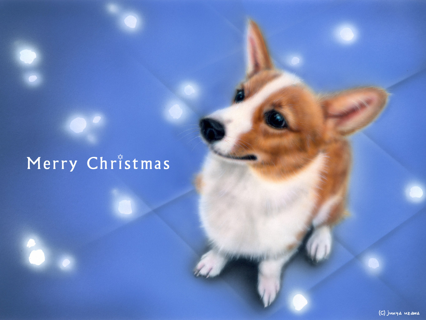 12月のデスクトップピクチャ 壁紙 Junya Blog 猫 犬 リアリズム絵画