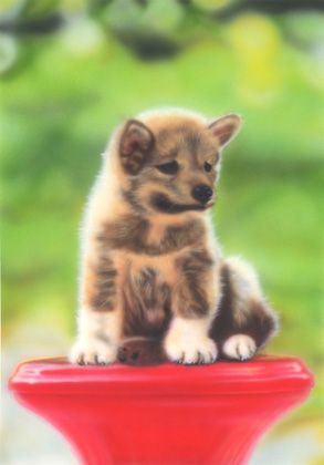 リアリズム絵画 リアルイラスト 動物の絵 子犬の絵 リアリズム絵画 リアルイラスト 動物 Pochi