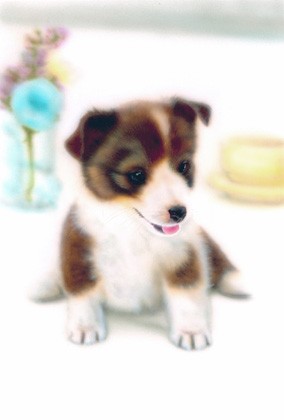 リアリズム絵画 リアルイラスト 動物の絵 子犬の絵 シェルティ