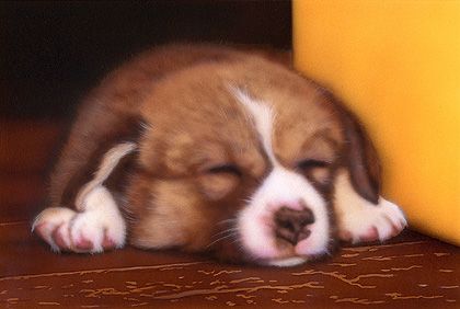 リアリズム絵画 リアルイラスト 動物の絵 子犬の絵 熟睡コーギー