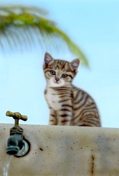 子猫の絵：Faucet and kitten