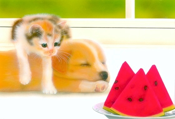 qL̊GFuvDog & Cat -2001 summer-