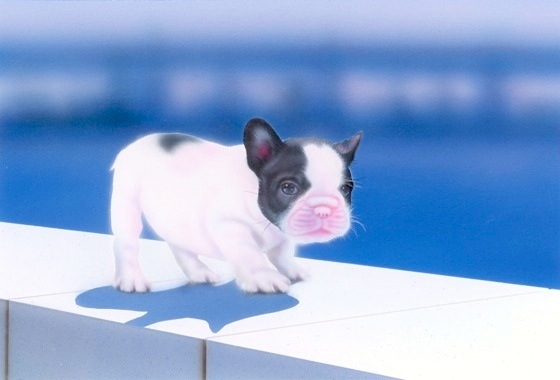 子犬の絵：フレブル -French Bulldog-