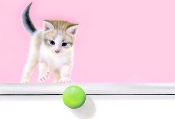 子猫の絵：Fallin' Ball (Ver. 0)