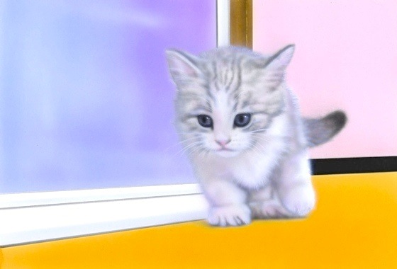 子猫の絵：Curious kitten 〜子猫の好奇心〜