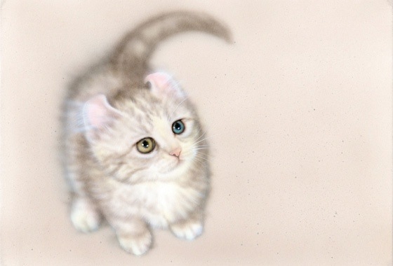 子猫の絵：「幸福のにゃんこ」B.K.S.N:アメリカンカール・マンチカン・オッドアイ（キンカロー・オッドアイ）