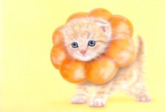 子猫の絵：ポンデニャイオン（ポンデにゃんこ／ポンデリング猫）pão de nyaion