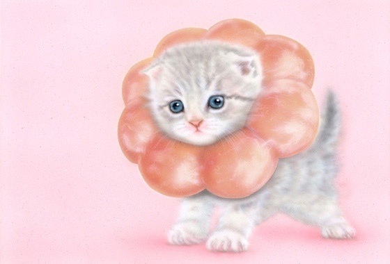 子猫の絵：ポンデニャイオン：さくら（ポンデにゃんこ／ポンデリング猫）pão de nyaion