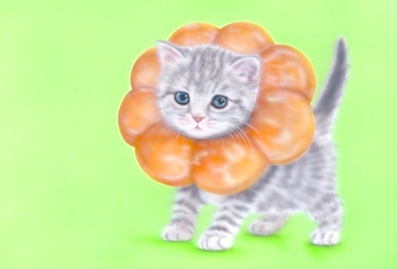 子猫の絵：ポンデニャイオン2（ポンデにゃんこ／ポンデリング猫）pão de nyaion