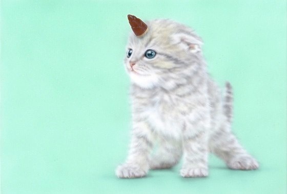 子猫の絵：ゆにゃんこ2：伝説のユニャコーン様に憧れるにゃんこ。