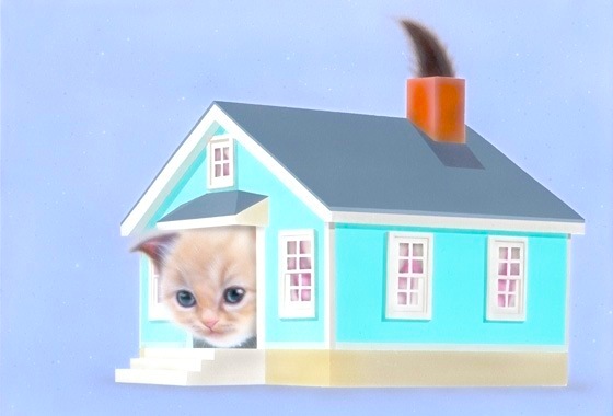 子猫の絵：ラグドールハウスっ！！