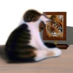 子猫の絵：ねこと虎