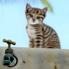 子猫の絵：Faucet and kitten