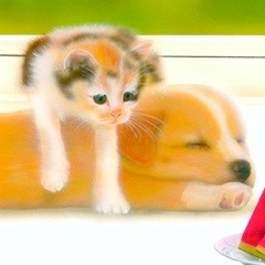 q̊GFuvDog & Cat -2001 summer-