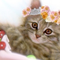 子猫の絵：sawaemi:aiちゃん