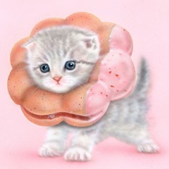 子猫の絵：ポンデニャイオン：さくらんぼ（ポンデにゃんこ／ポンデ桜猫）