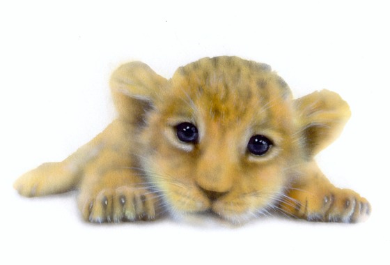 リアリズム絵画 動物の絵 動物イラスト ライオン 寝そべるライオンの赤ちゃん
