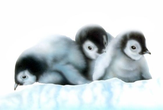 リアリズム絵画 動物の絵 動物イラスト ペンギン ペンギンの赤ちゃんたち