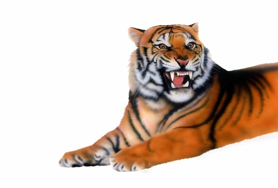 xK^CK[̊G^Bengal TigerFixK^CK[^Bengal Tiger