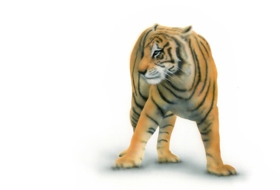 xK^CK[̊G^Bengal TigerFnɗxK^CK[^Bengal Tiger