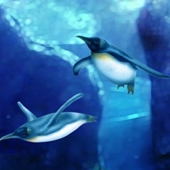 ペンギンの絵／Penguin：空飛ぶペンギン