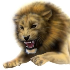 ライオンの絵／Lion：吠えるライオン
