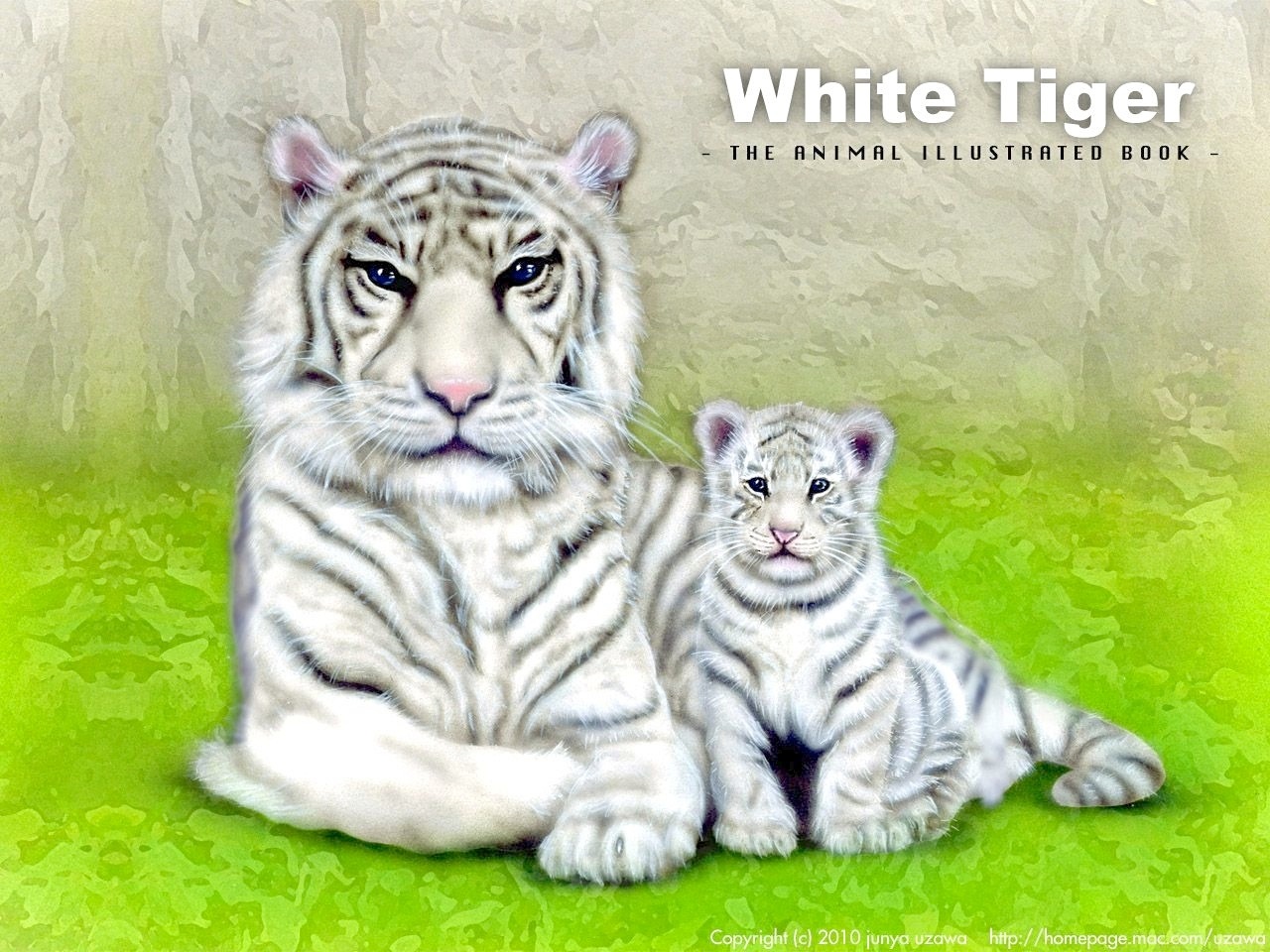 リアリズム絵画 動物の絵 動物イラスト ホワイトタイガー ホワイトタイガー親子