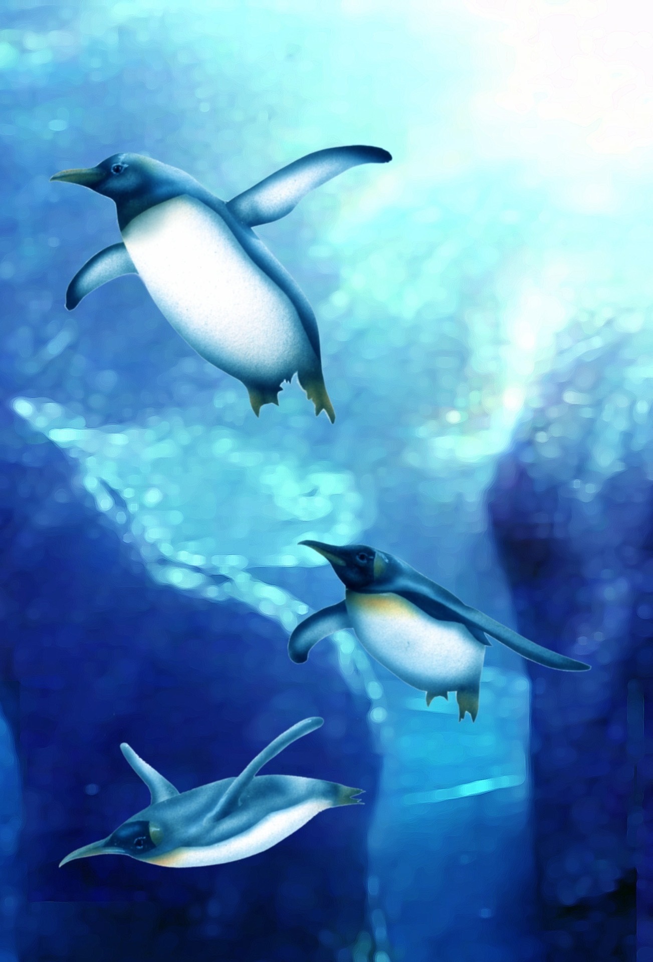 リアリズム絵画 動物の絵 動物イラスト ペンギン 空飛ぶペンギン