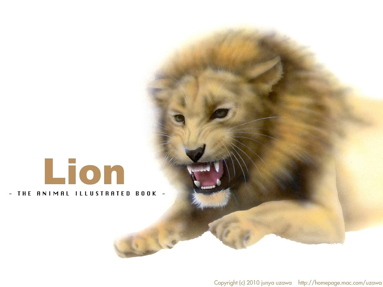 リアリズム絵画 動物の絵 動物イラスト ライオン 吠えるライオン