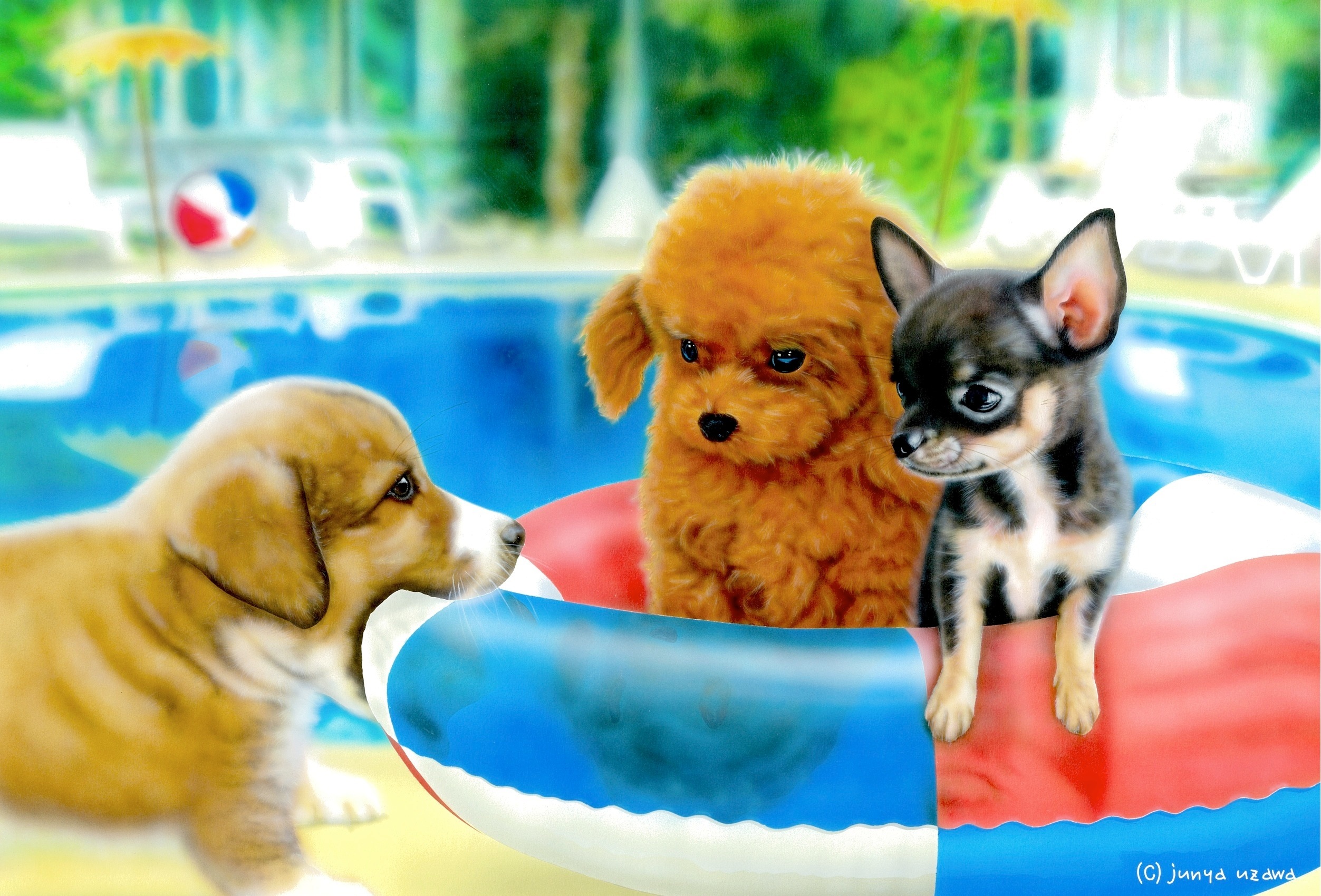 8月のデスクトップピクチャ 壁紙 Junya Blog 猫 犬 リアリズム絵画