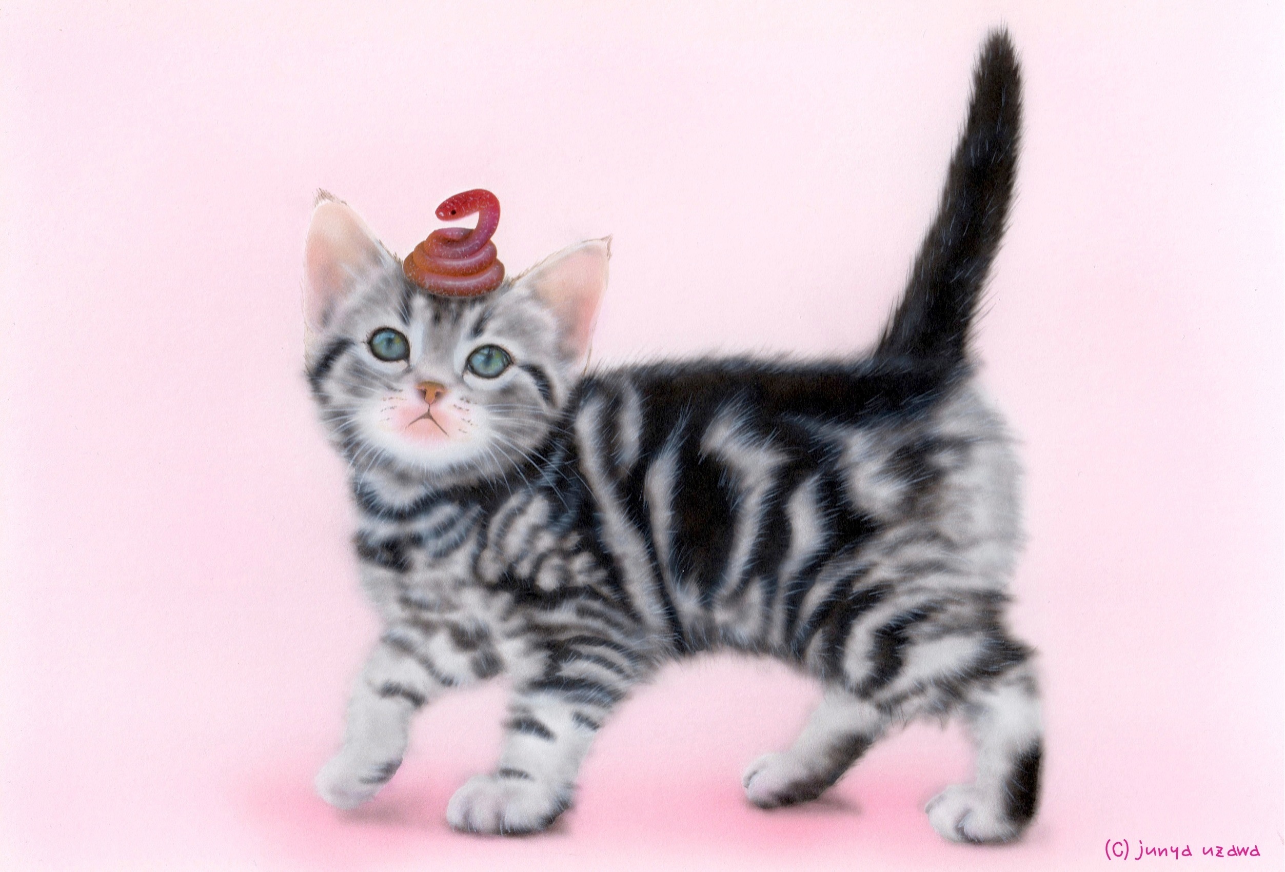 リアリズム絵画 動物の絵 動物イラスト 子猫の絵 萌獣 ヘビのせ猫 Happy New Year 13 世界最小のヘビ アメリカン ショートヘア