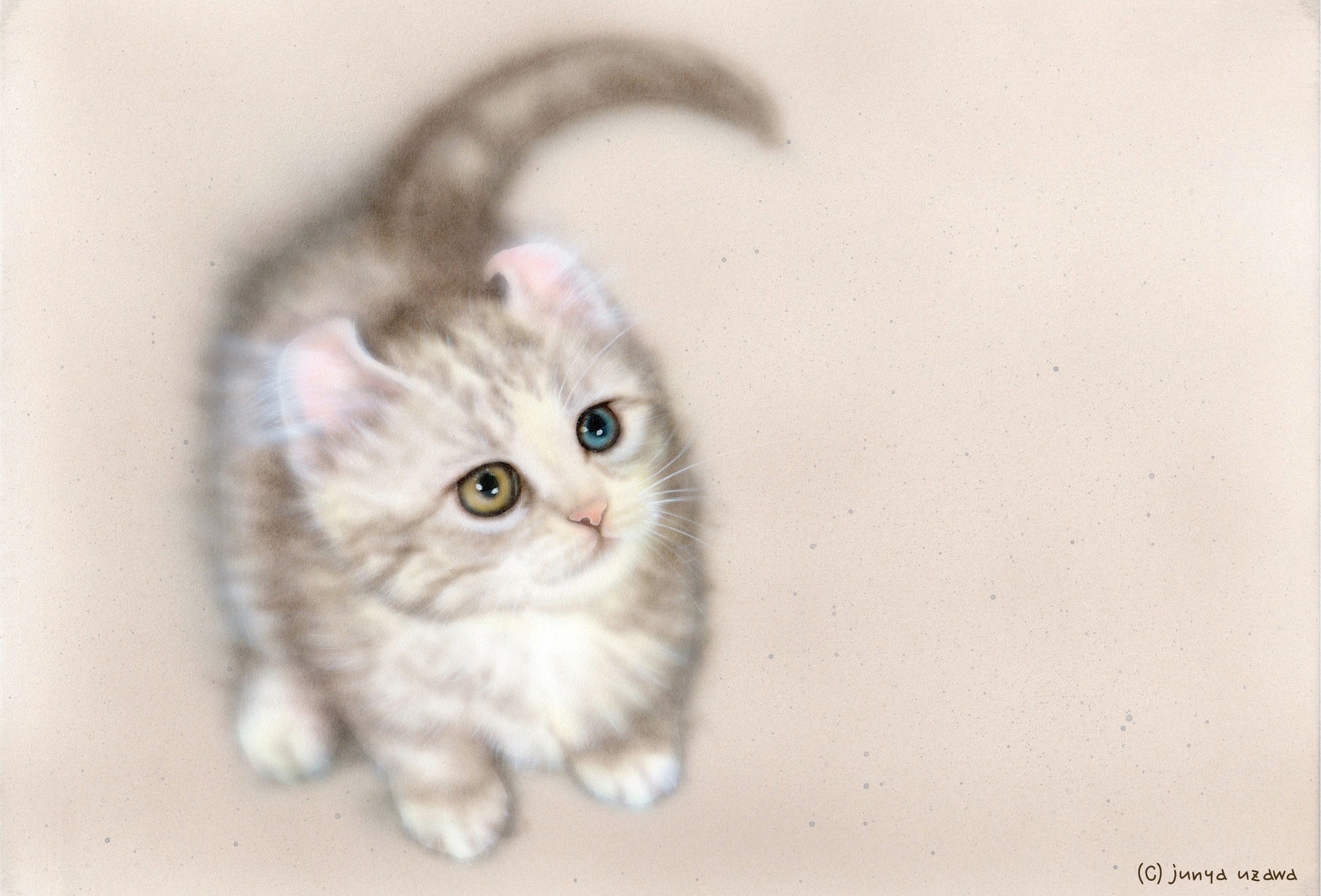 リアリズム絵画 動物の絵 動物イラスト 子猫の絵 萌獣 幸福のにゃんこ B K S N アメリカンカール マンチカン オッドアイ キンカロー オッドアイ