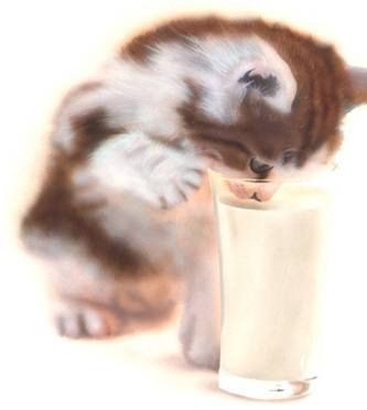 Desktop Picture 壁紙 かわいい動物 猫 犬 うさぎ のリアルイラストの壁紙です