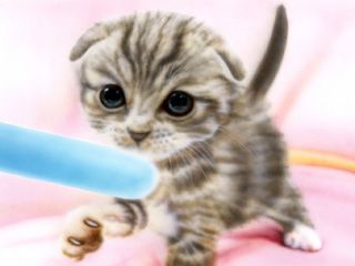 ���킢���L�摜 �˂��C���X�g �q�L�̊G